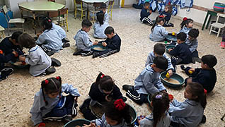 Imagen 7