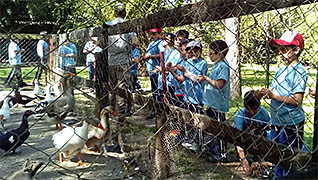 Imagen 3