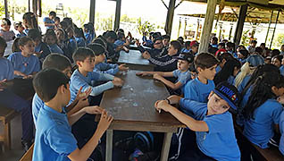 Imagen 2
